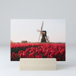 Red Pink Tulips with Windmill Holland | Netherlands Tulip Fields Mini Art Print