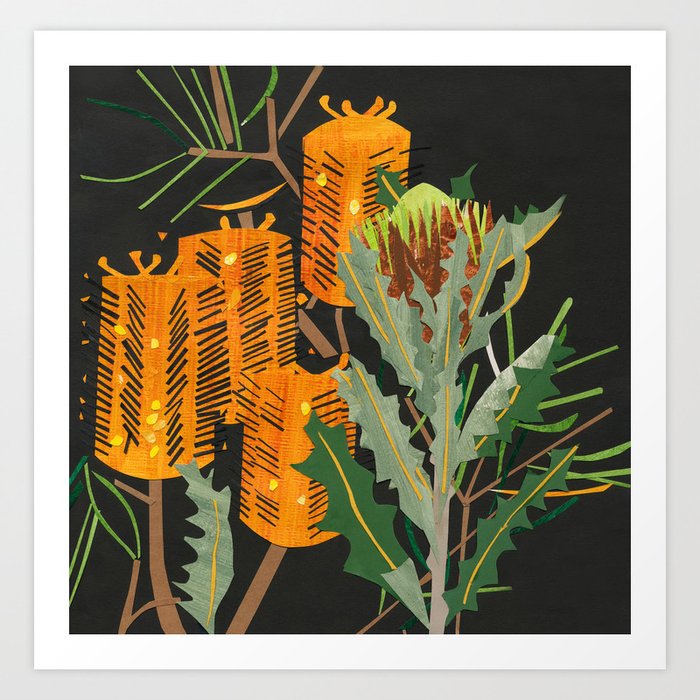 Hairpin Banksia Art Print