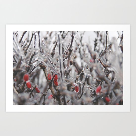 Ice Berries Art Print