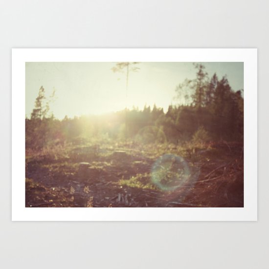 Sunlight Art Print