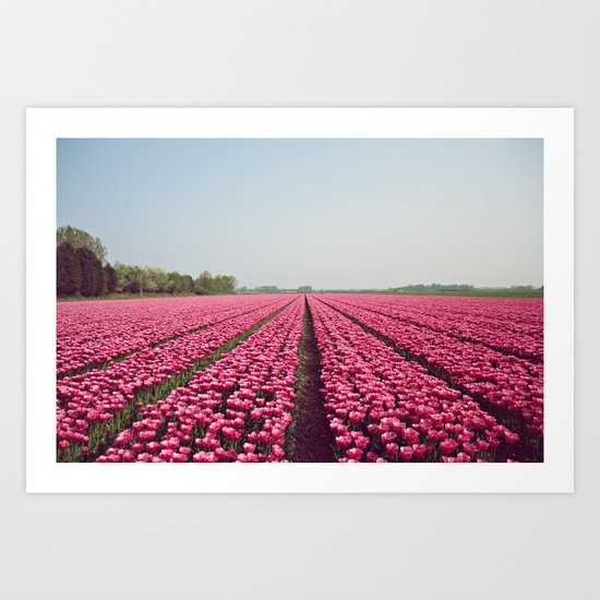 Fields of gold Art Print