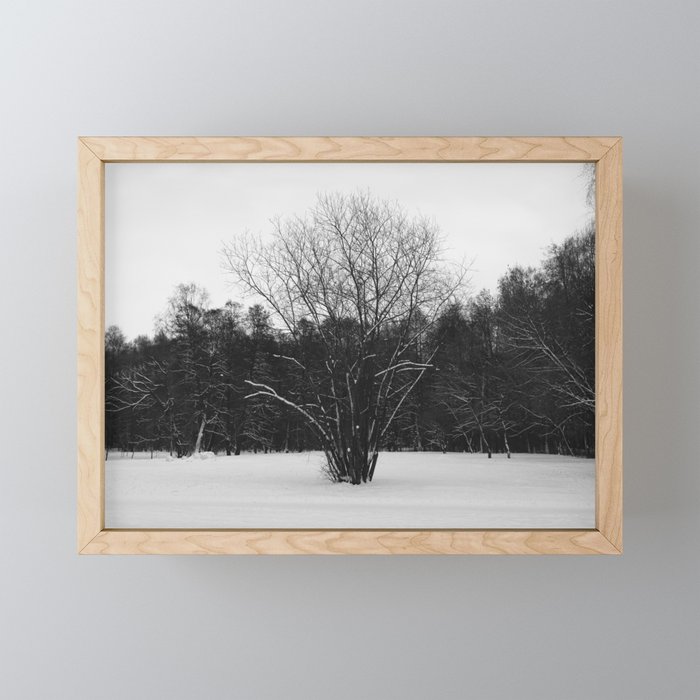 Lone tree Framed Mini Art Print