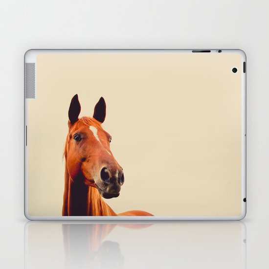Horse of Eagle Crest Laptop & iPad Skin
