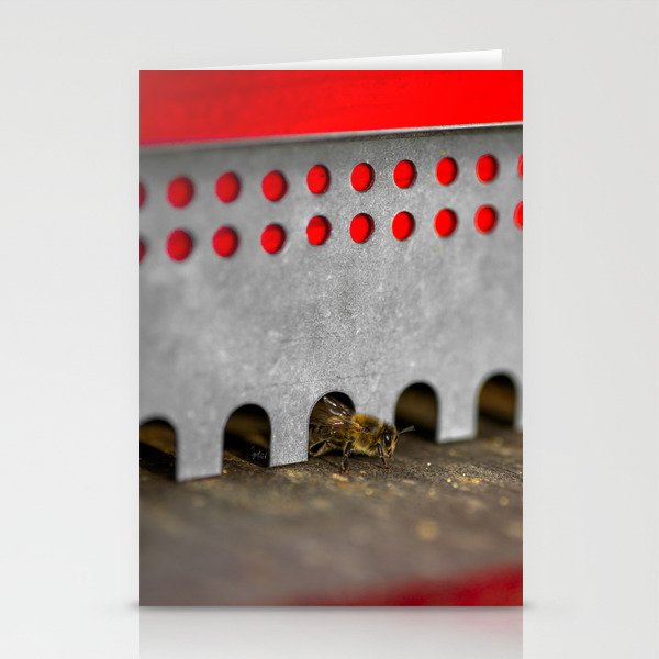 The Bee has the entry of the hive Stationery Cards