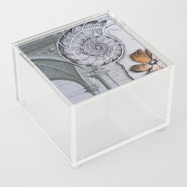 Ammonite Collage Acrylic Box