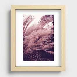 Pampas grass Recessed Framed Print