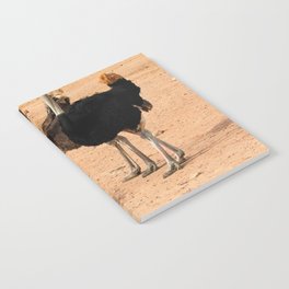 South Africa Photography - Ostrich Parents With Their Children Notebook