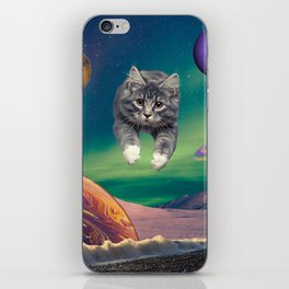 Cat on a Space Beach 4 iPhone Skin