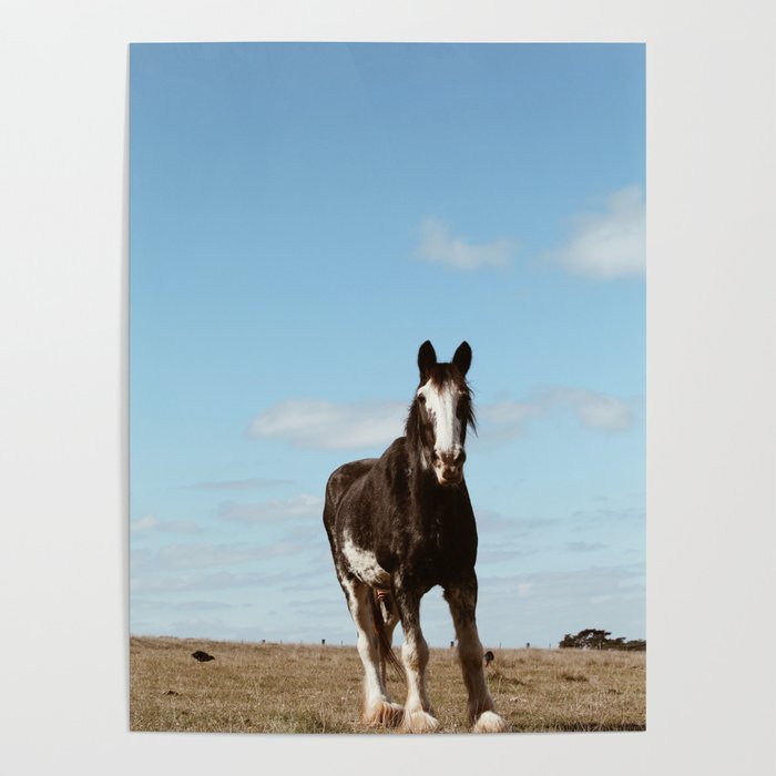 Clydesdale  Poster