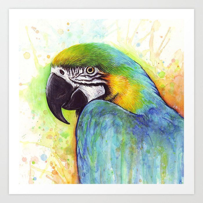 COLOURFUL PARROTS TROPICAL BIRDS BOX CANVAS PRINT WALL ART PICTURE