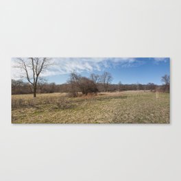 Spring Forest Field Canvas Print