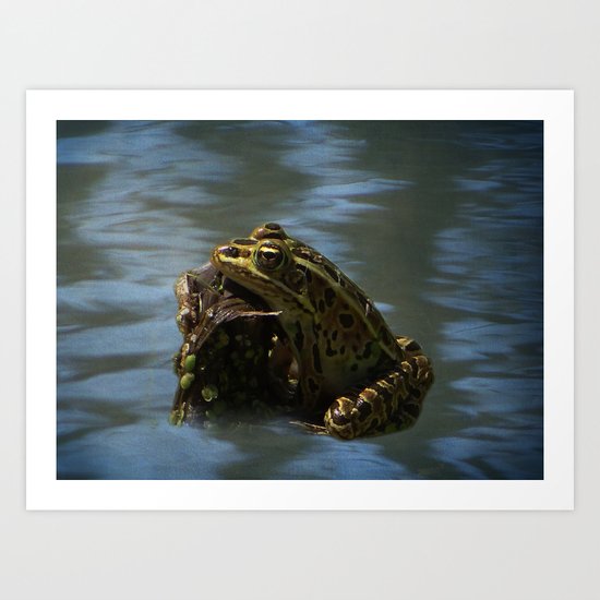 Natures Tanning Bed Art Print