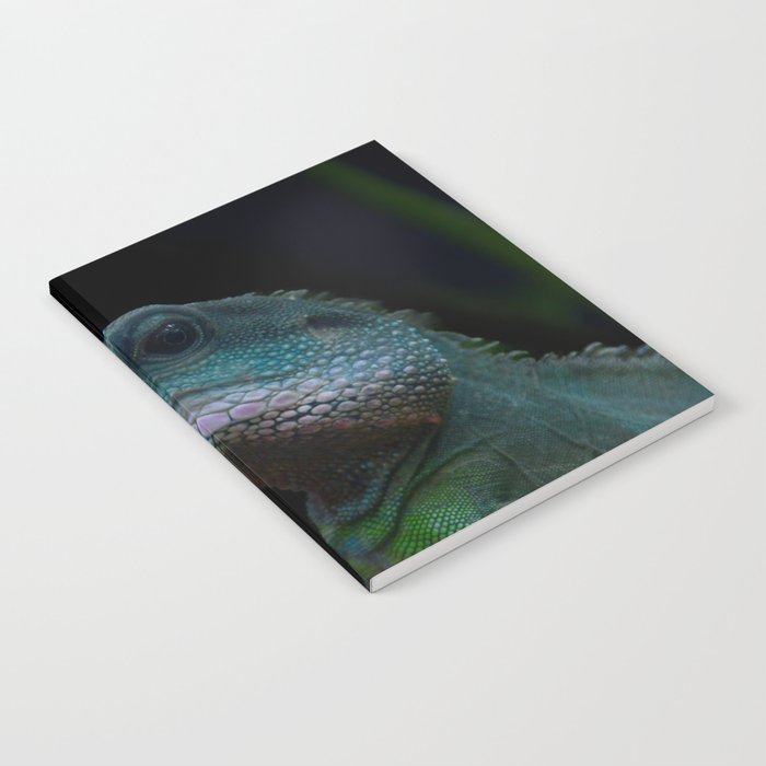Turquoise lizard Notebook