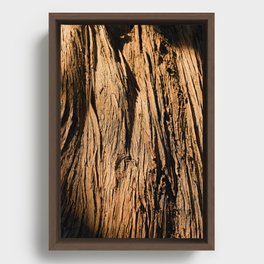 Bark Bark Framed Canvas