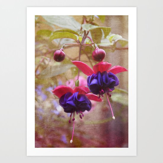 Fuschia Art Print