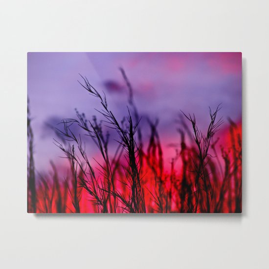 Colors to the West Metal Print