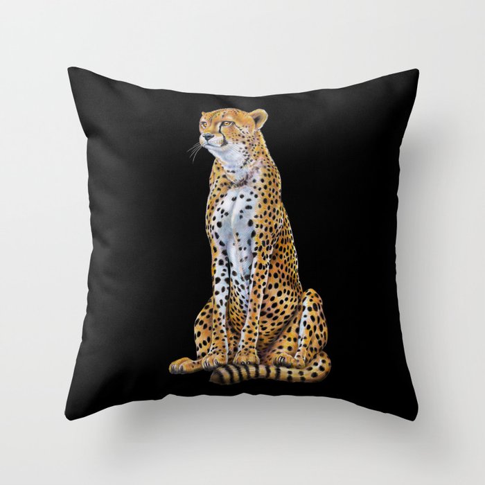 Throw Pillow