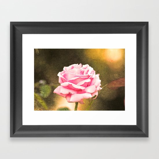 Pink rose Framed Art Print