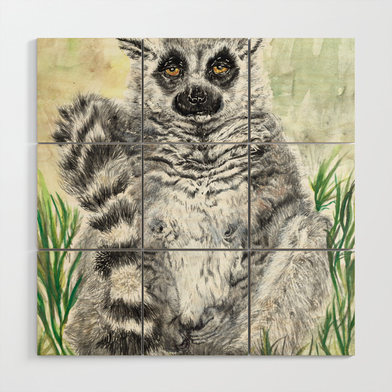 Ring Tailed Lemur Cute Animal Nature Lemur Eyeroll Zero