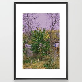 mysterious garden 7 Framed Art Print