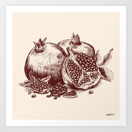 Pomegranate  Art Print