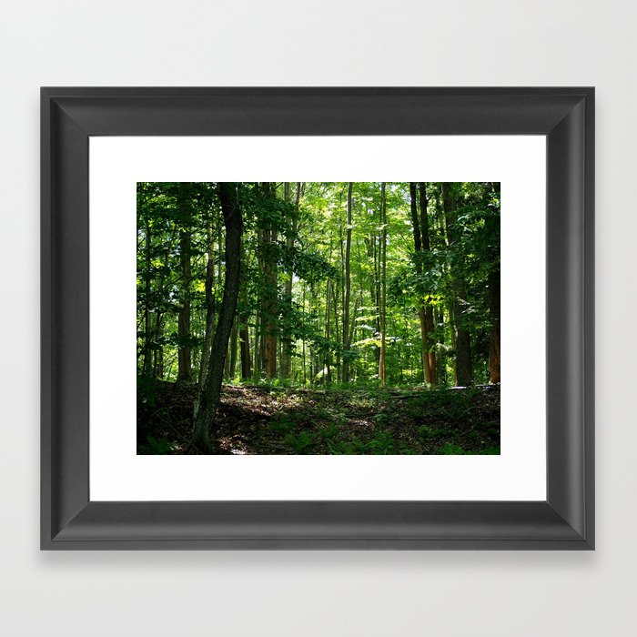 Pine tree woods Framed Art Print