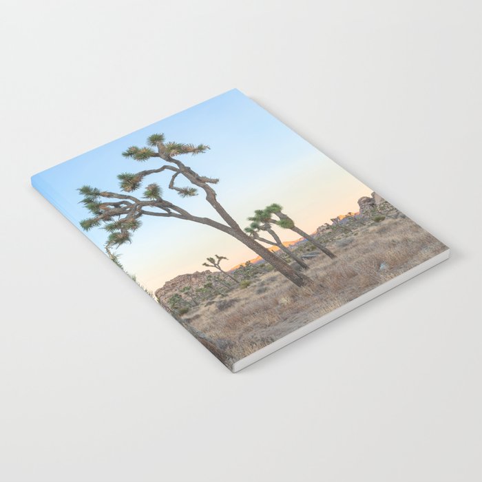 Joshua Trees Morning 2 Notebook