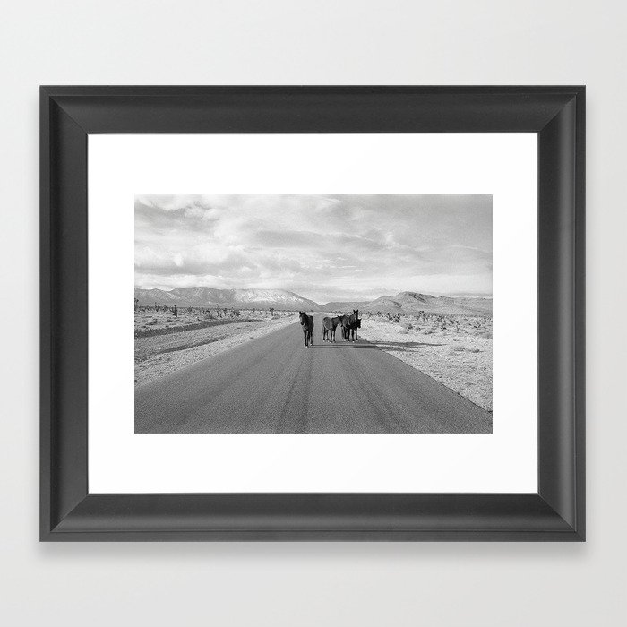 Spring Mountain Wild Horses Framed Art Print