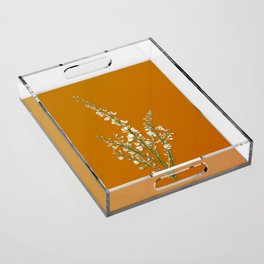Vintage White Broom Botanical Illustration on Bright Orange Acrylic Tray