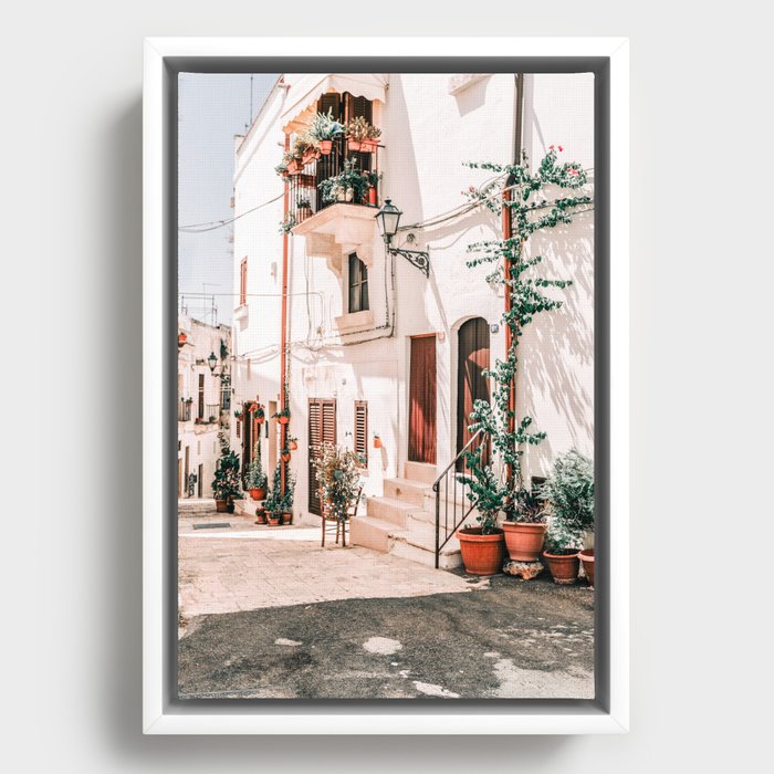 Framed Canvas