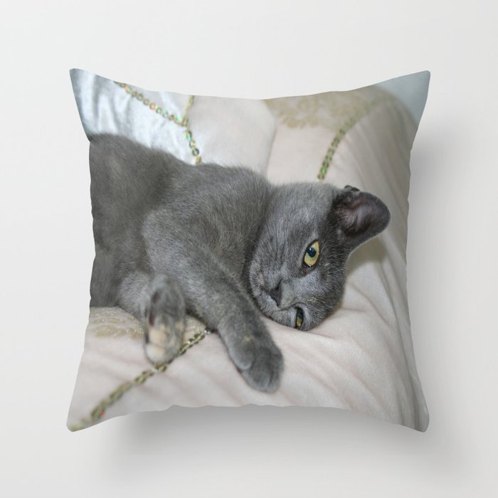 Grey Kitten Relaxed On A Bed Throw Pillow By Taiche Society6
