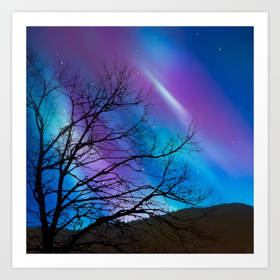North Art Print