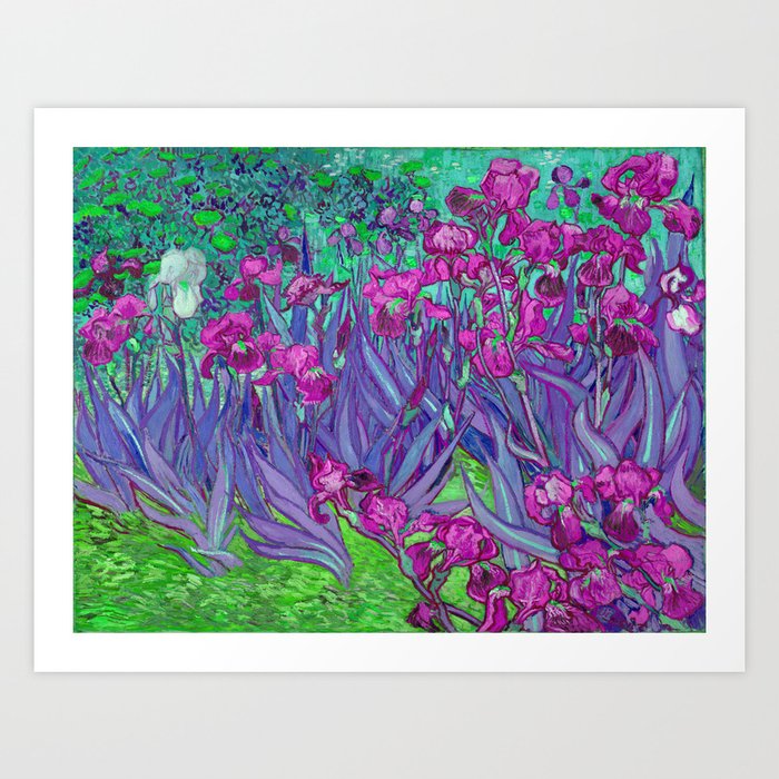 Vincent Van Gogh Irises Painting Violet Fuchsia Palette Art Print