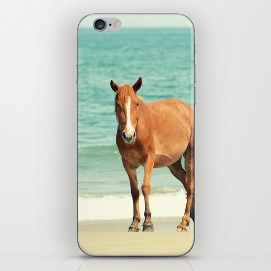 Wild Mustang of Carova, NC iPhone & iPod Skin