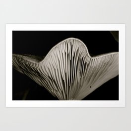 ITSY BITSY Art Print | Black and White, Nature, Landscape, Digital 