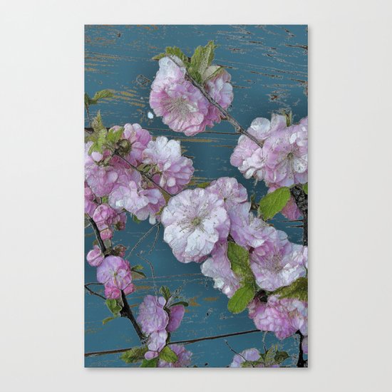 Vintage Pink Blossoms Canvas Print
