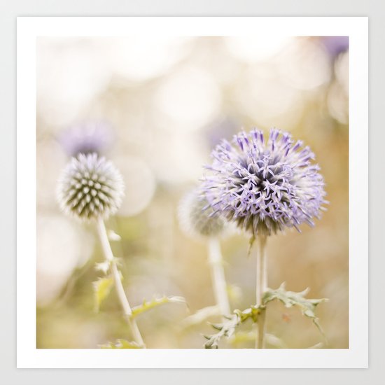 Curious Art Print