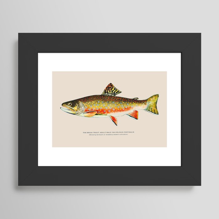Framed Art Print