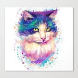 Yellowed eye  multi colored cat  Canvas Print