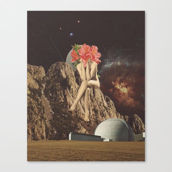 A New Life II Canvas Print