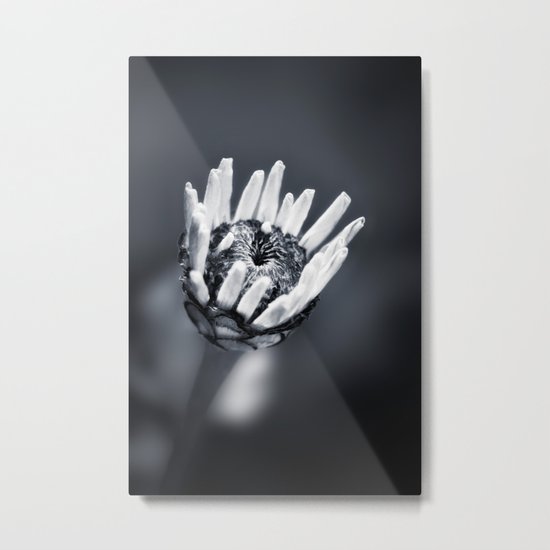 LIFE IN MONO - FILIGREE Metal Print