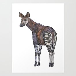 Okapi Art Print