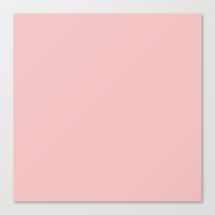 Baby Pink Canvas Print