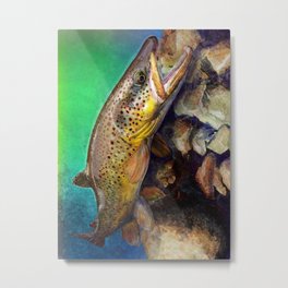 The Wild Brown Trout in Blue Green Metal Print