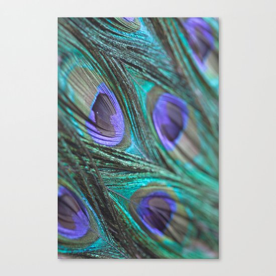 Peacock Fashion Canvas Print