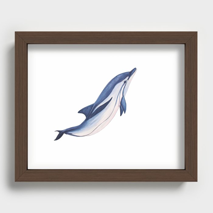 Striped baby dolphin Recessed Framed Print