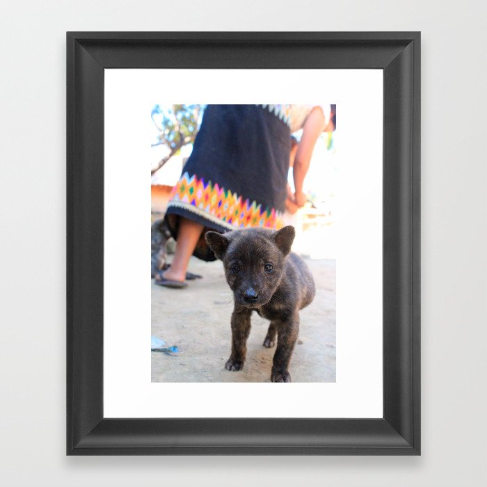 Cutest 3 Legged Puppy Dog In The World Framed Art Print