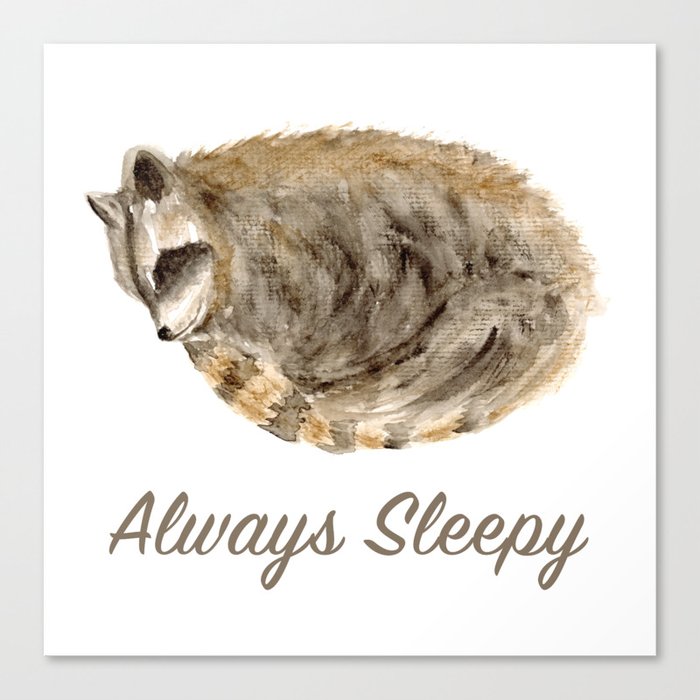 Always Sleepy Raccoon Canvas Print