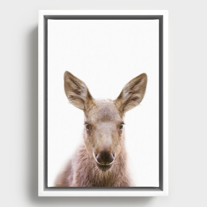 Framed Canvas