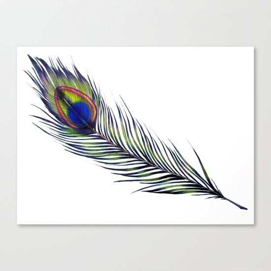 The Peacock's Feather Canvas Print